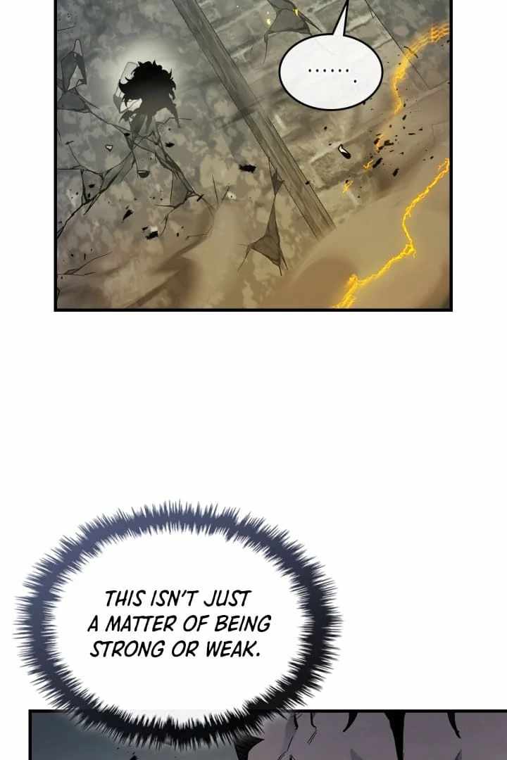 81