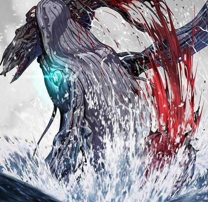 66