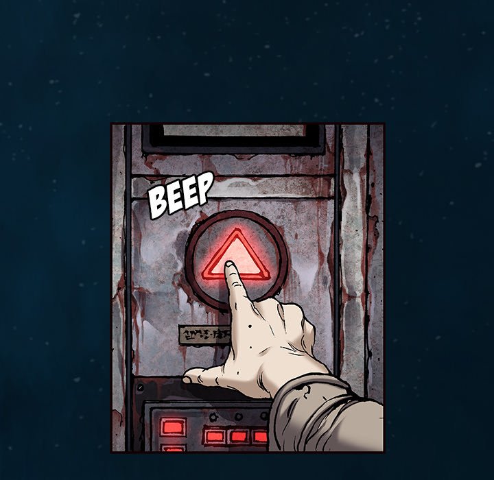 81