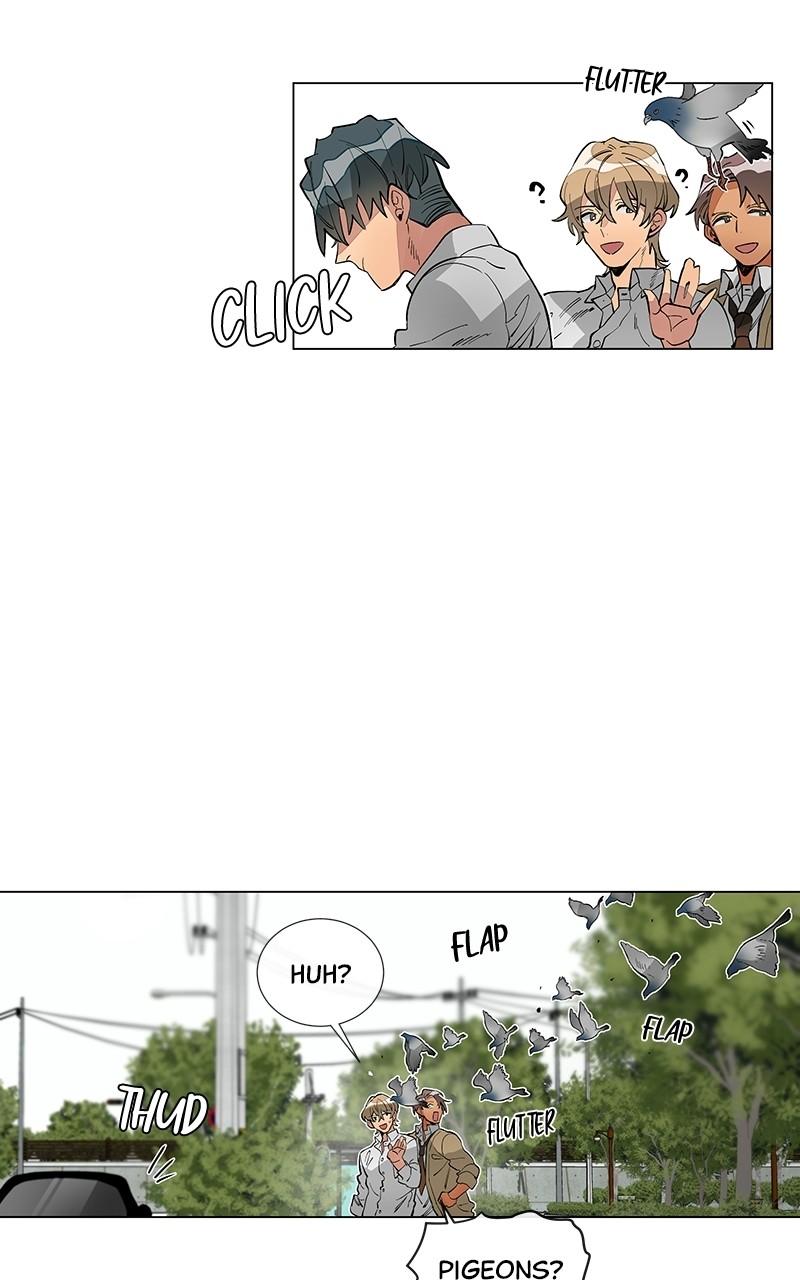 46