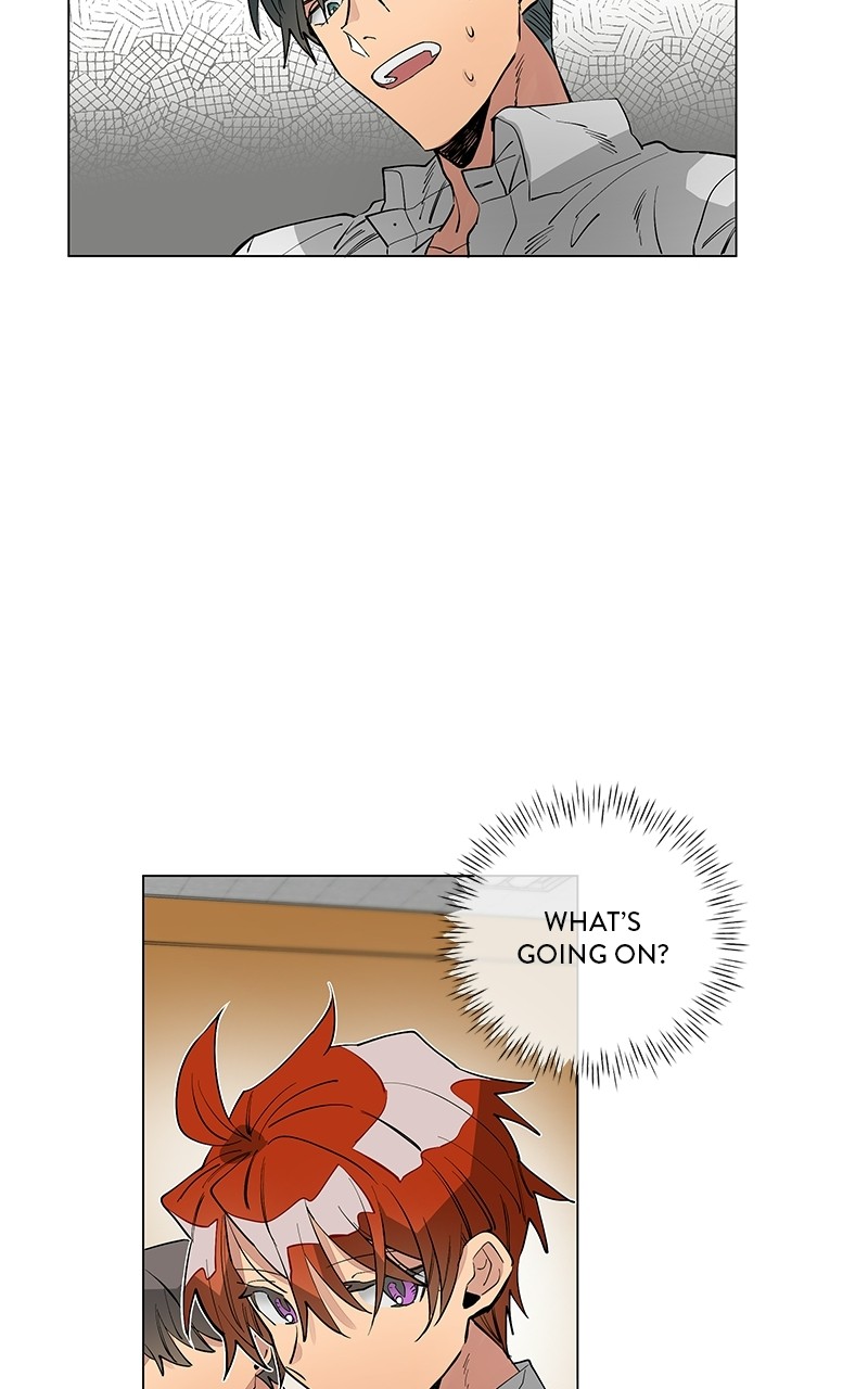 41