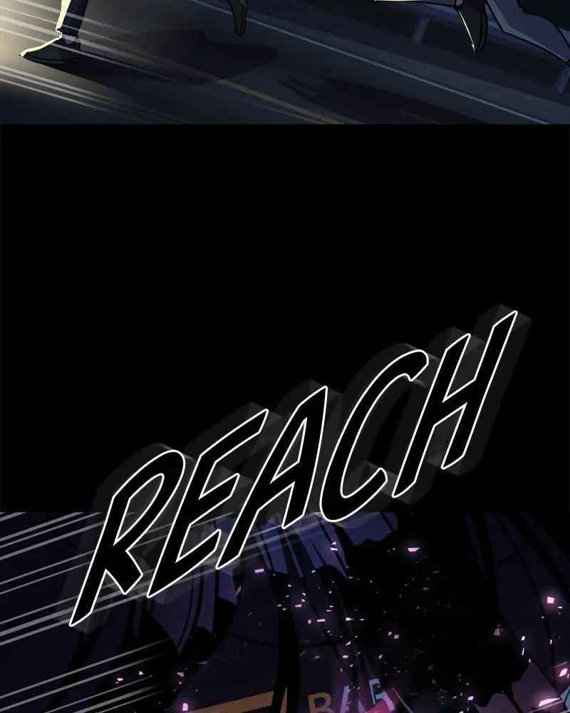 81