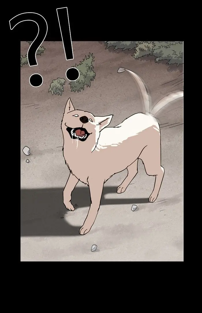 62
