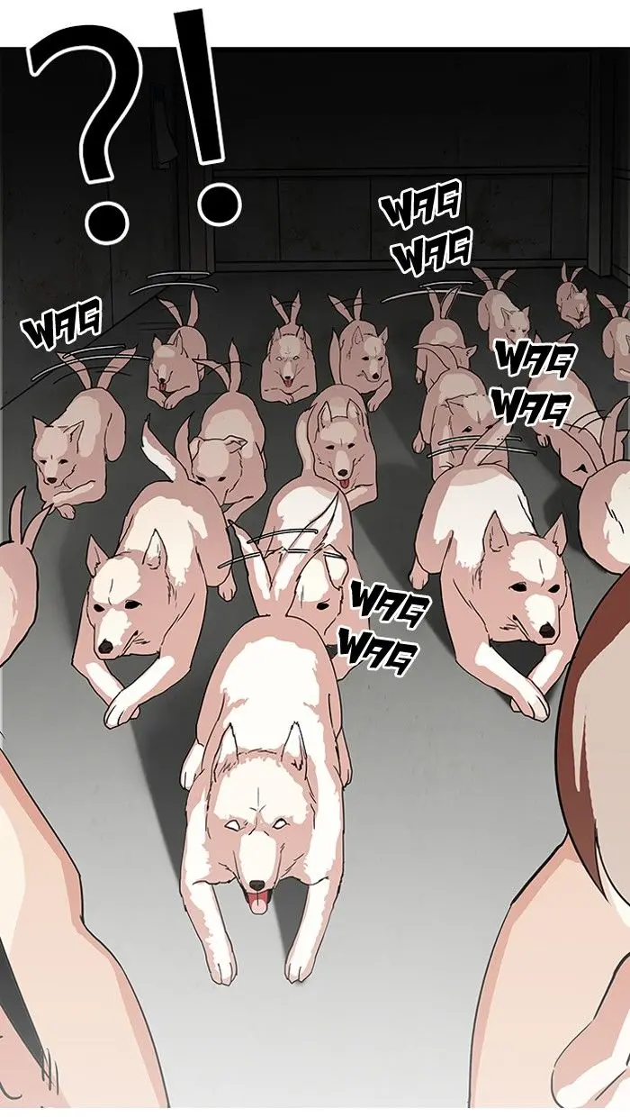 55