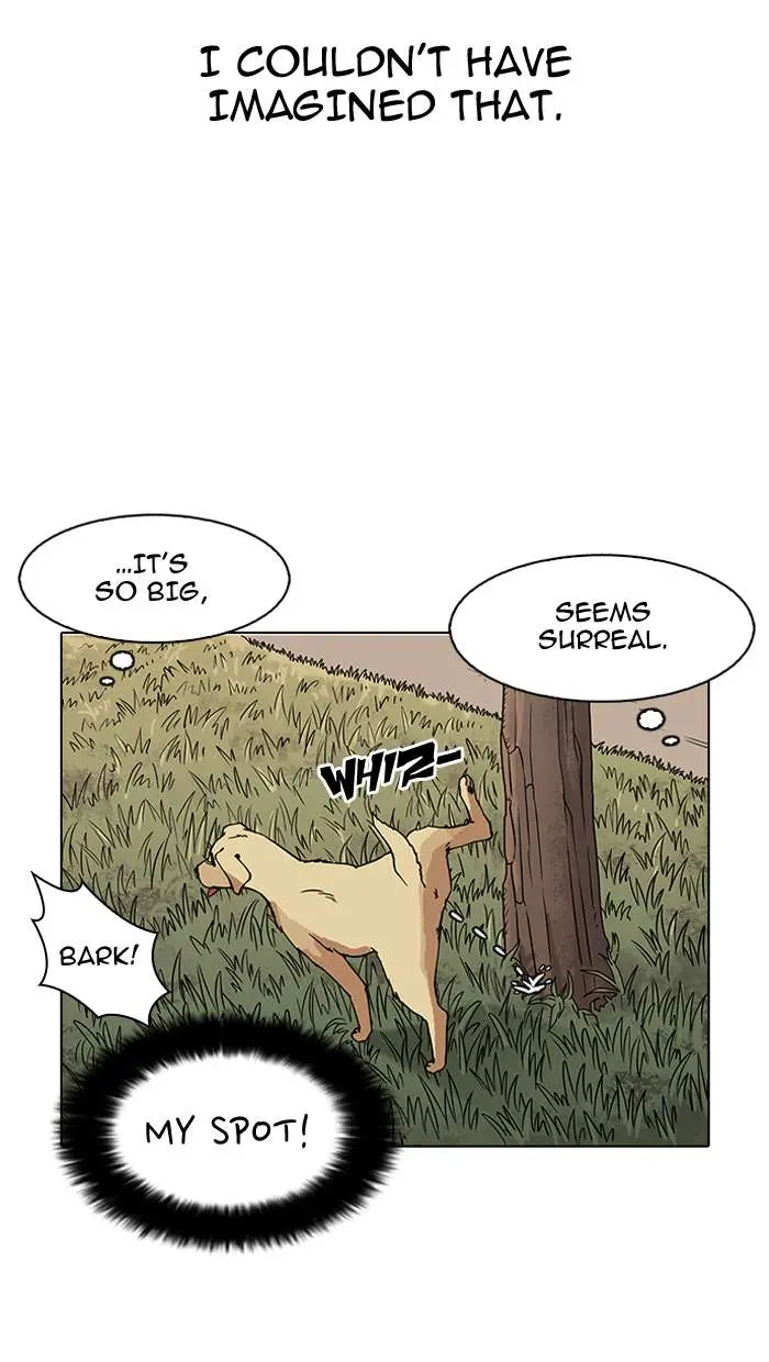 55