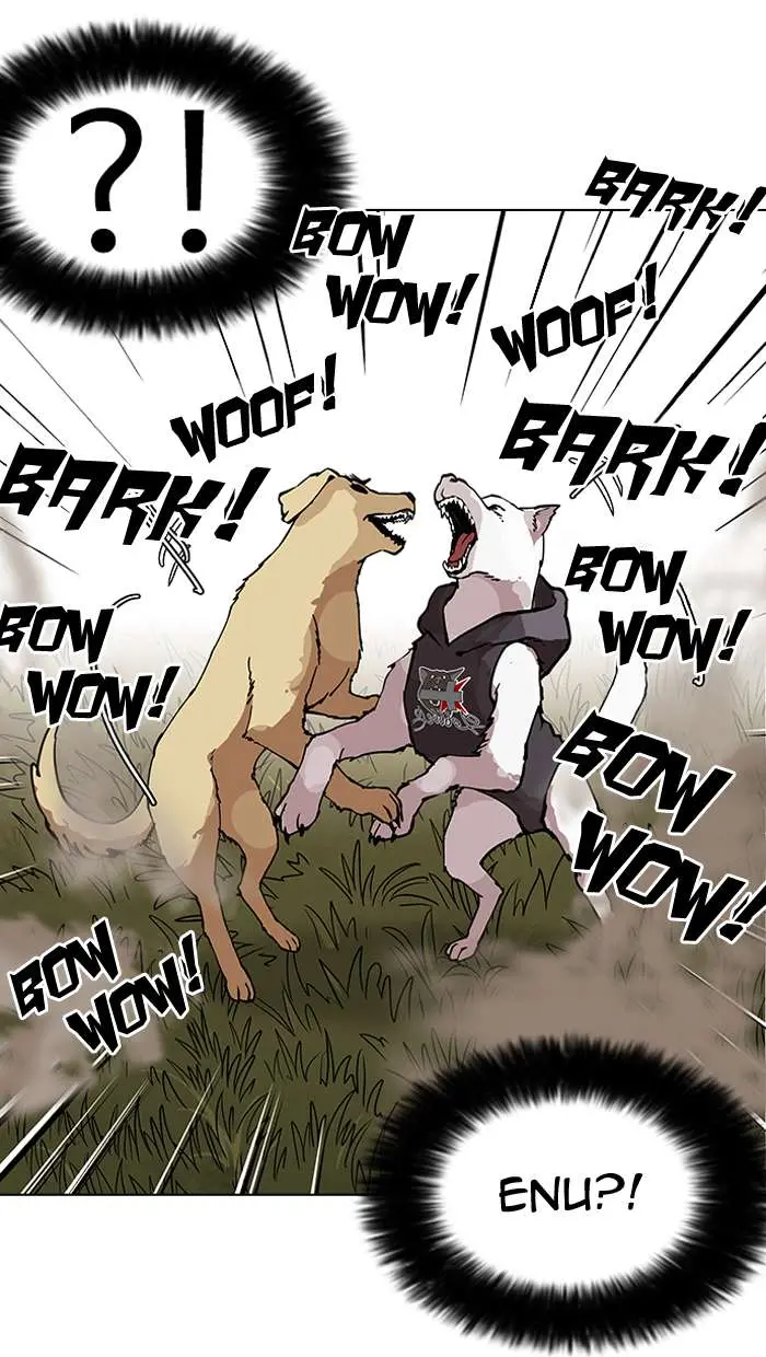 58