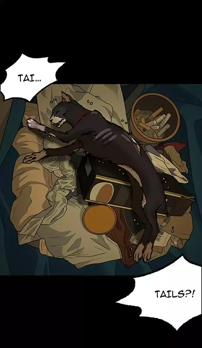 41