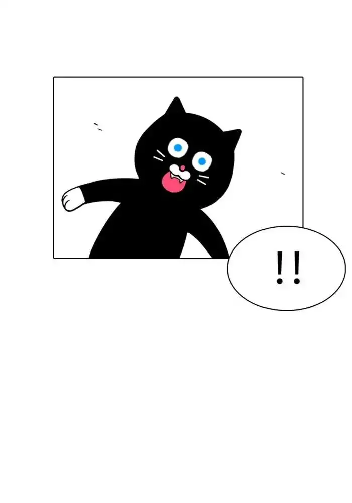 117
