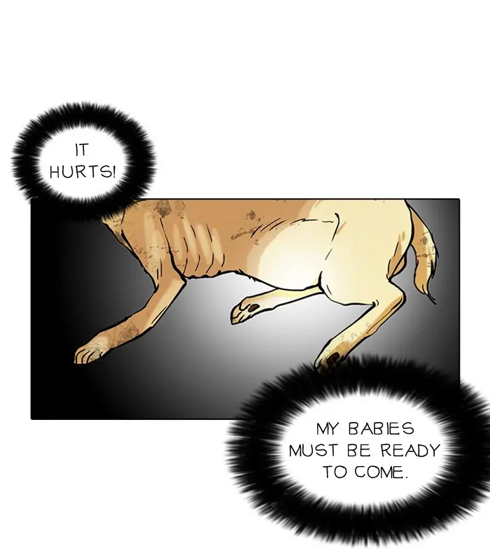 51