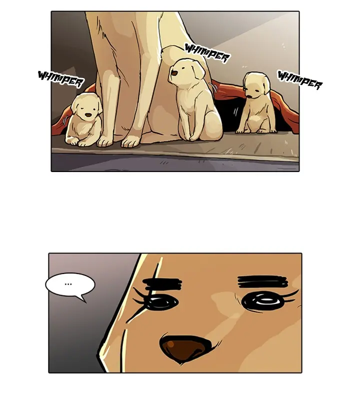 41
