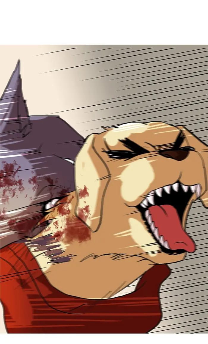 51