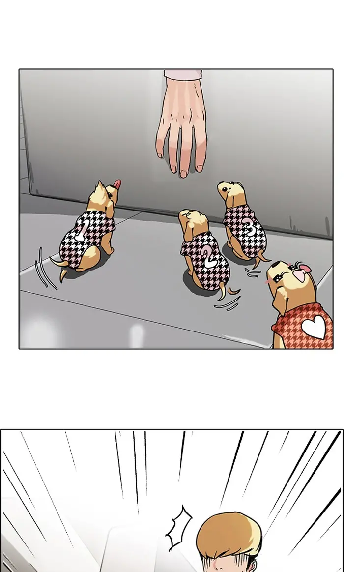 43