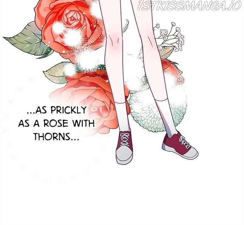 81