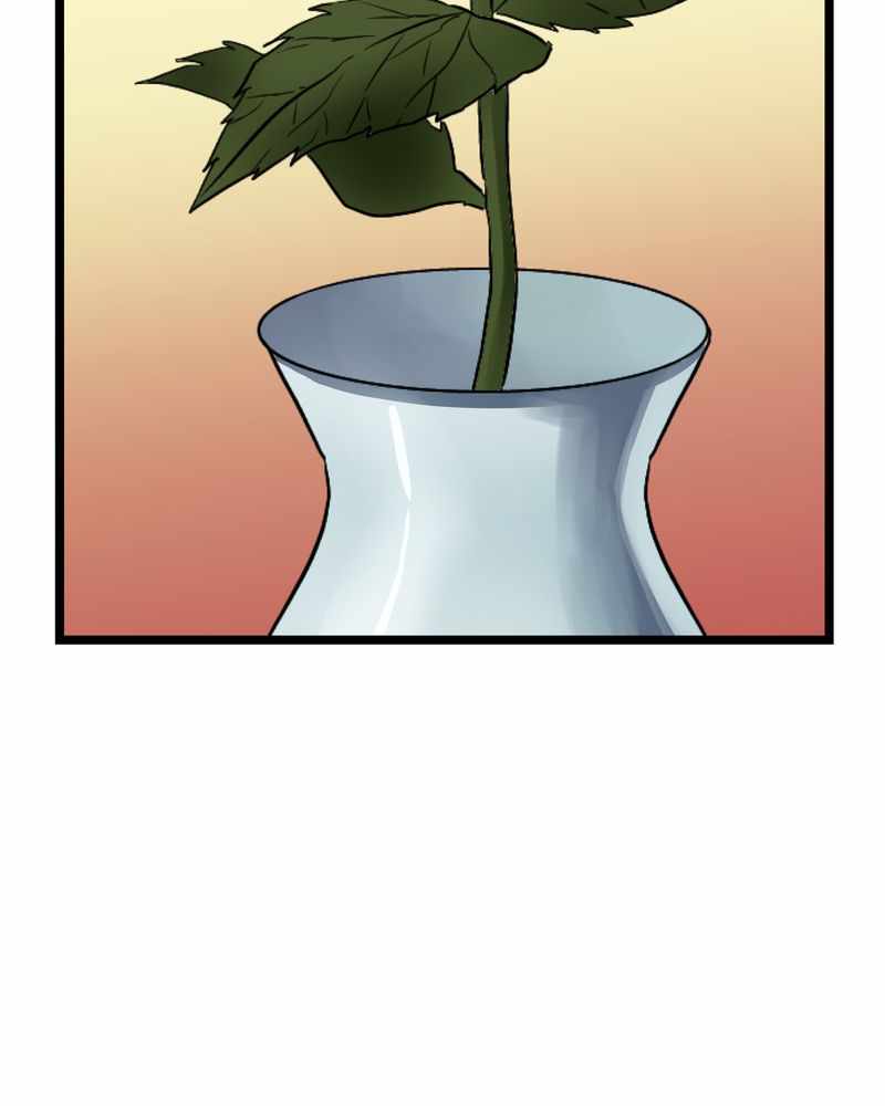 80