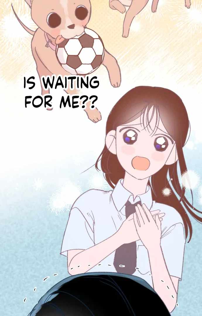 51