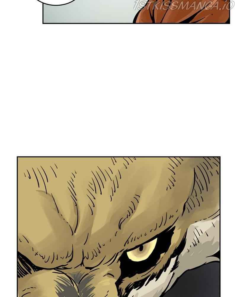 81