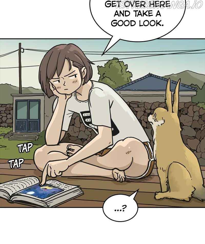 51