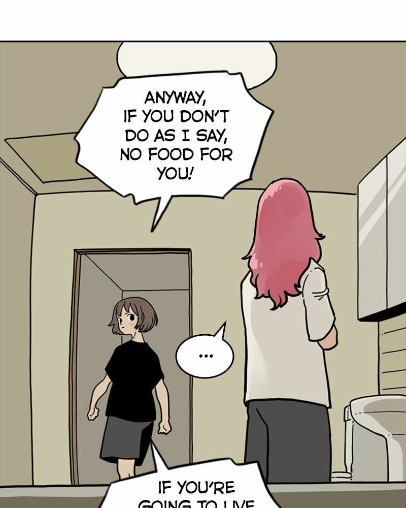 81