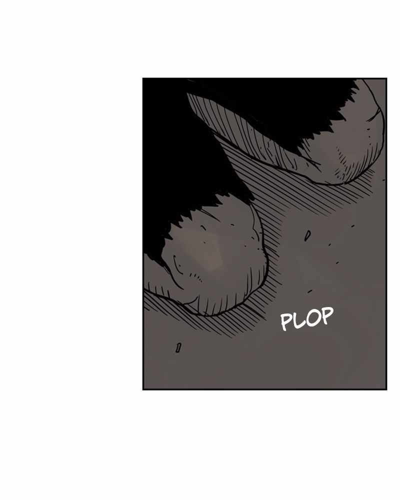 81