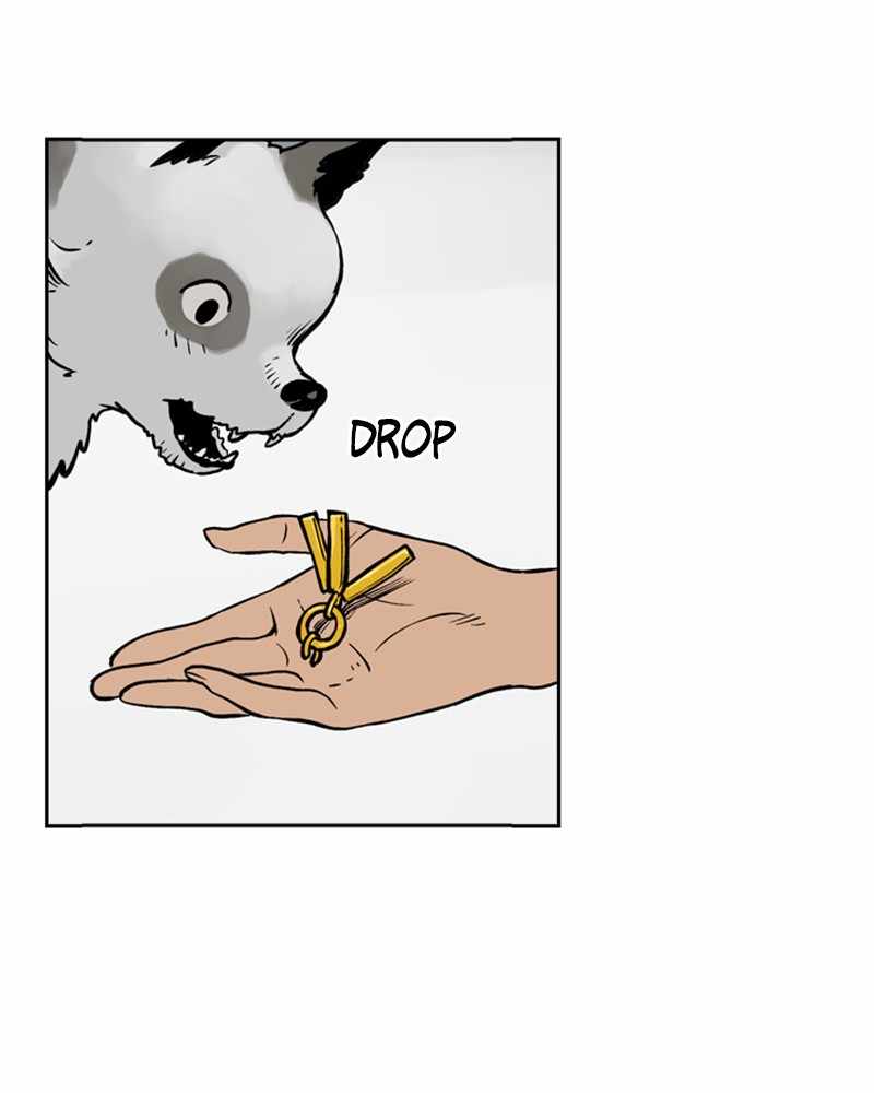 61