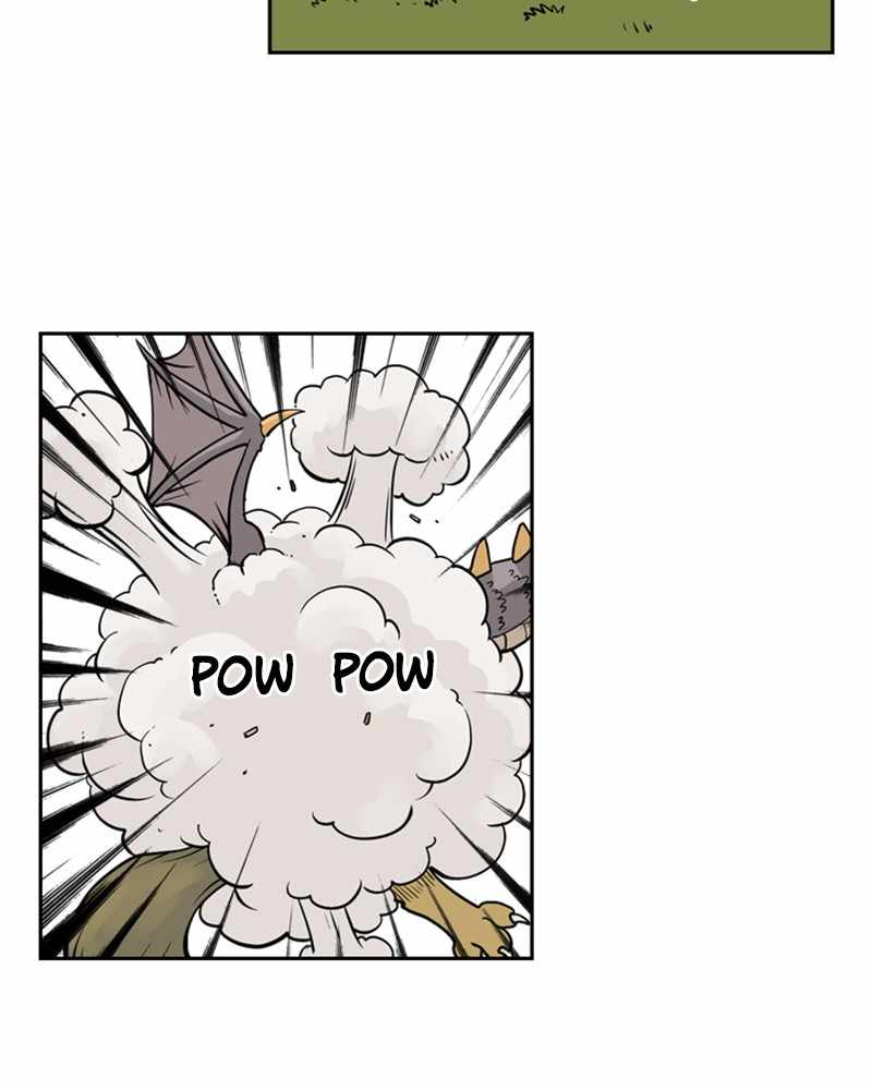 66