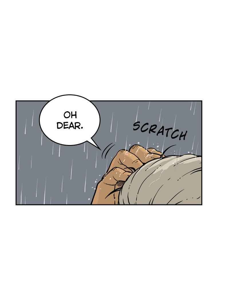 41