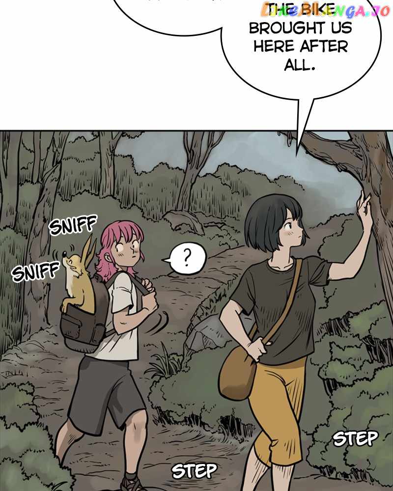 51