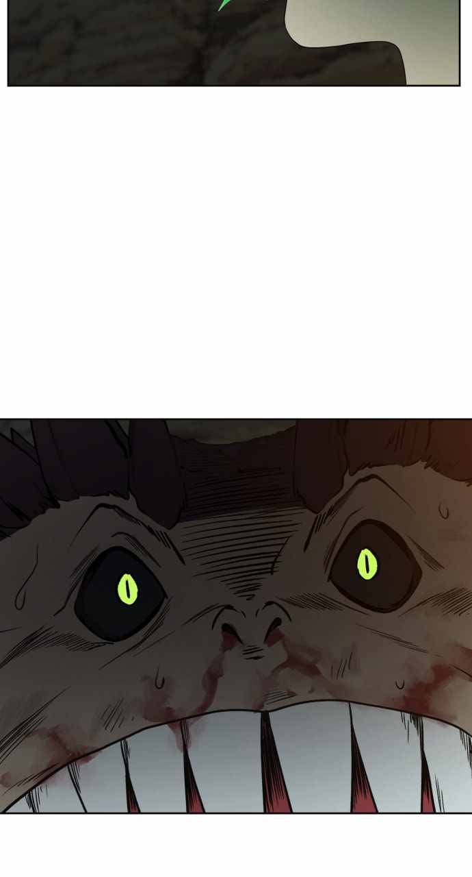 81