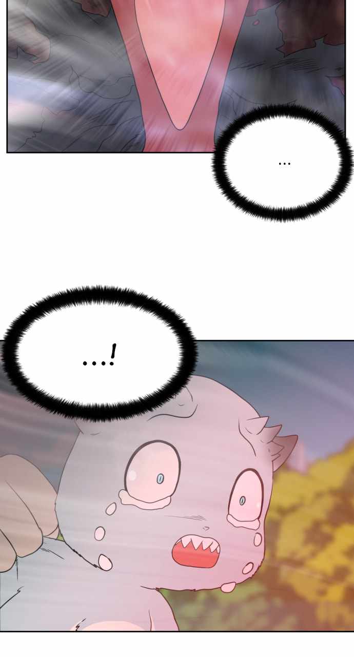 81