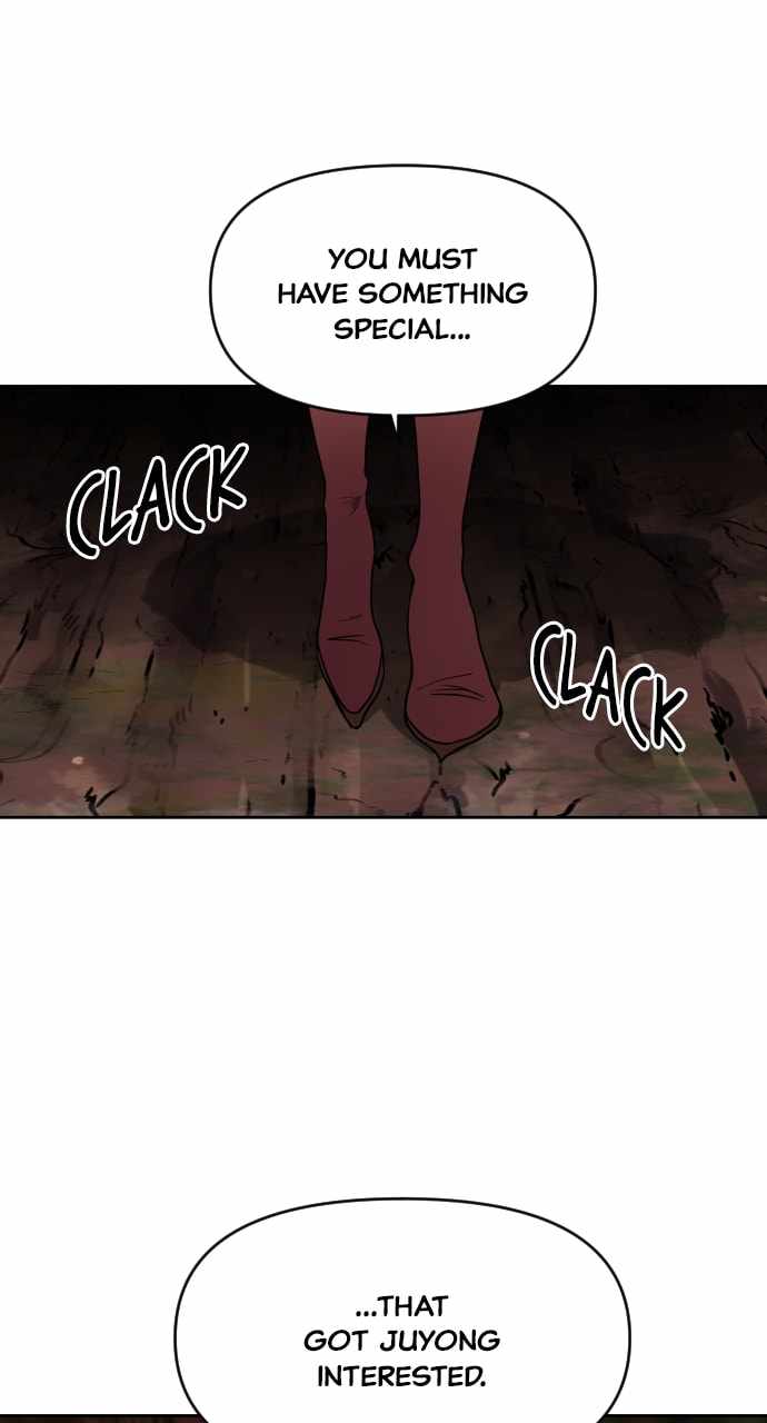 81