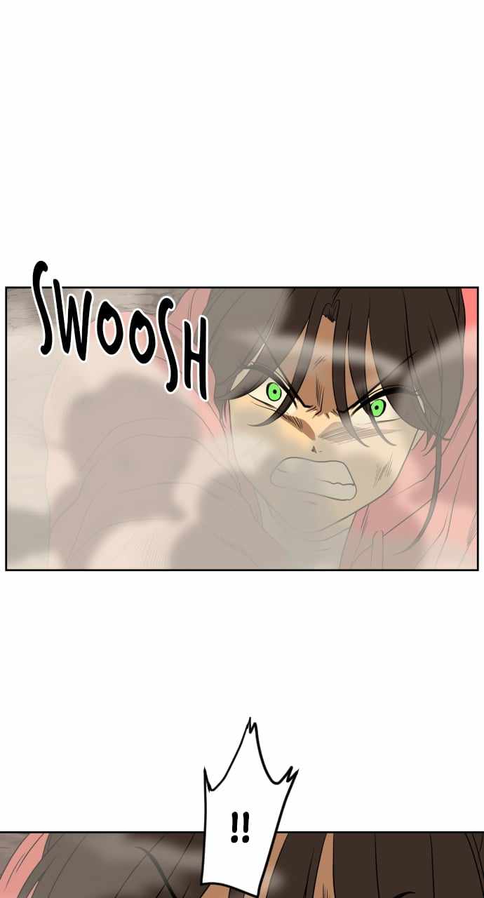 81