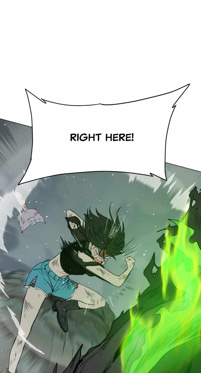 81