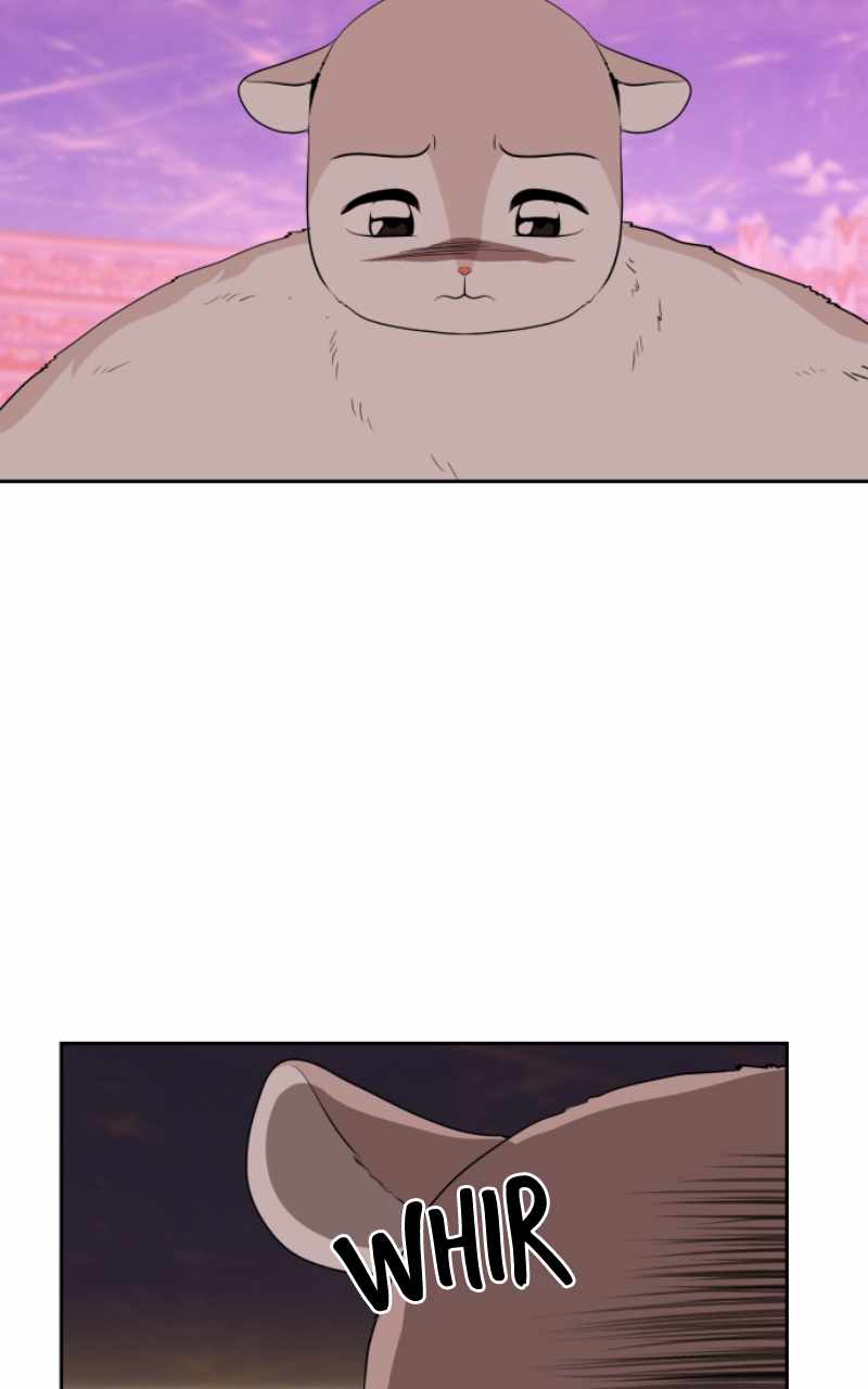 91