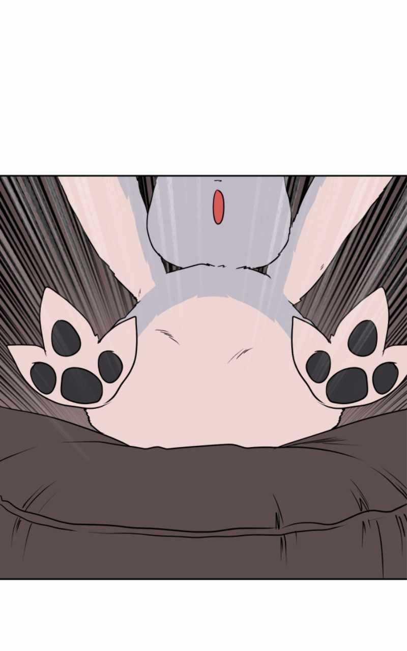 128