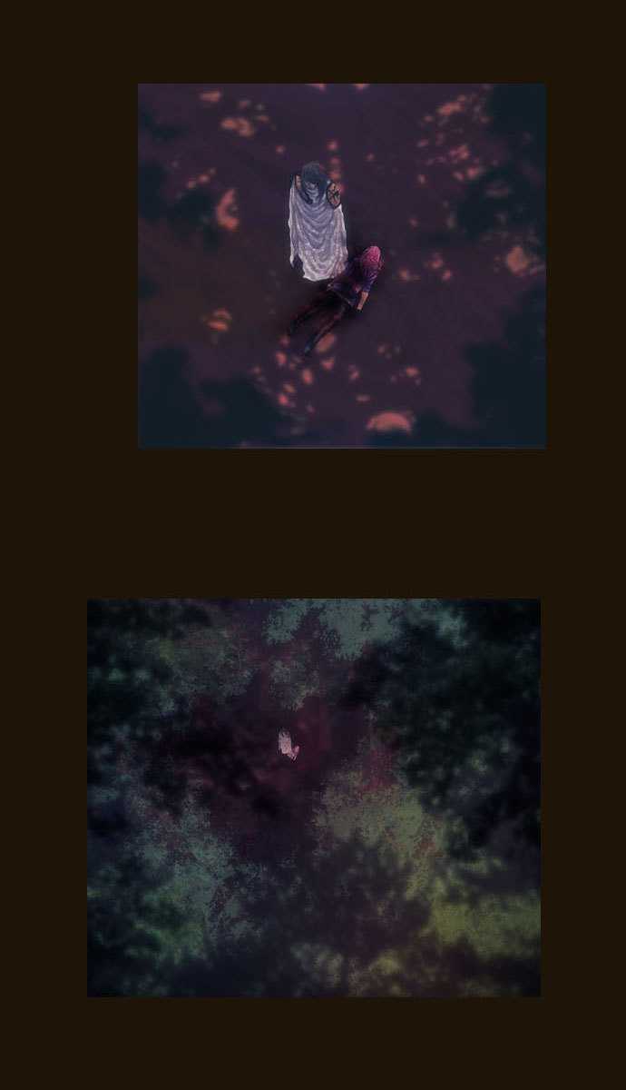53
