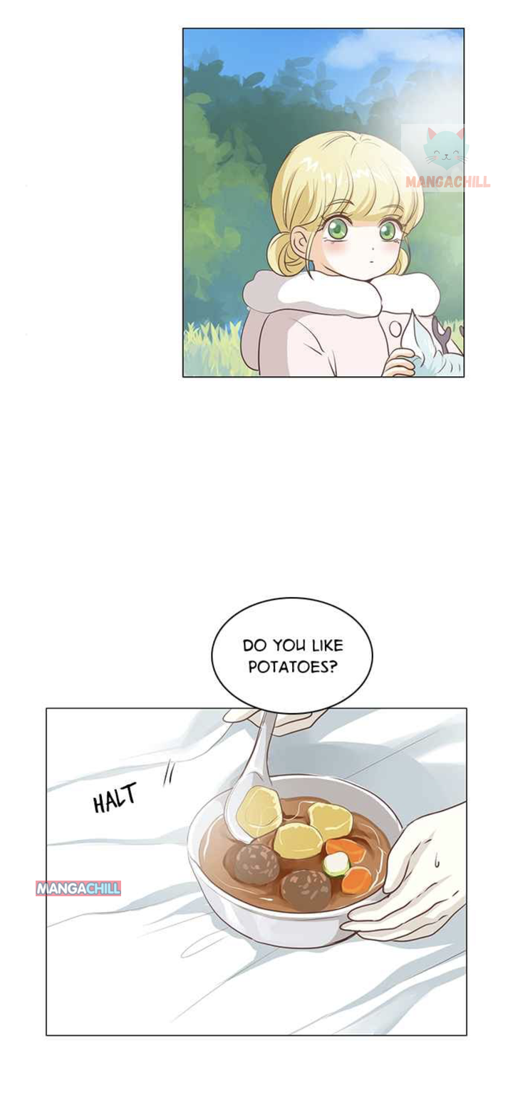 41