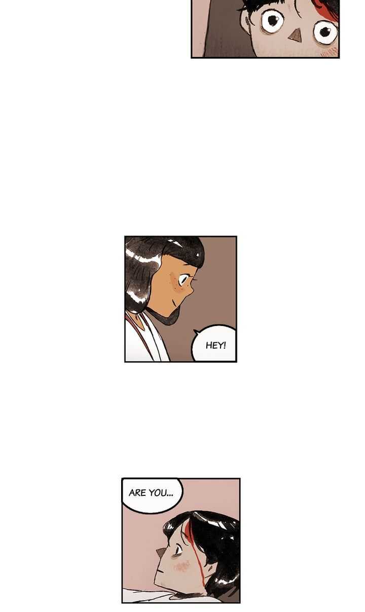 41