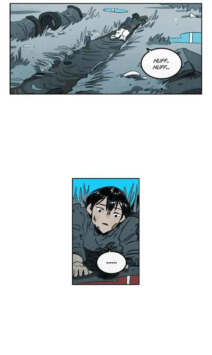 41