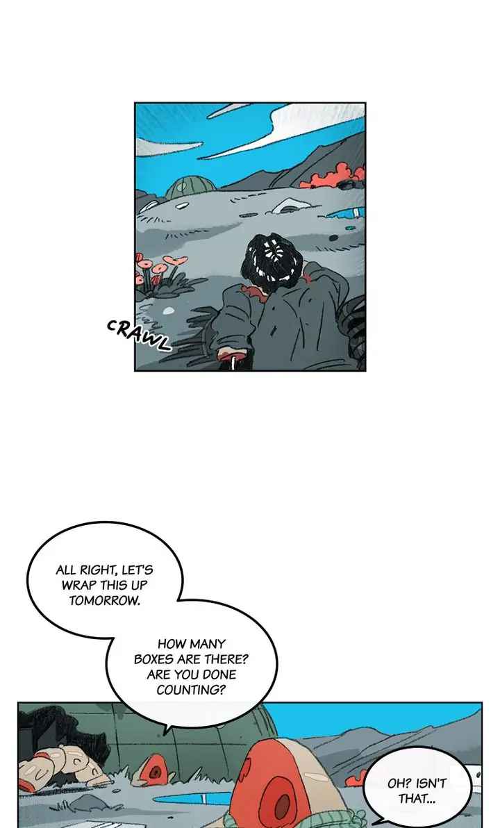 43