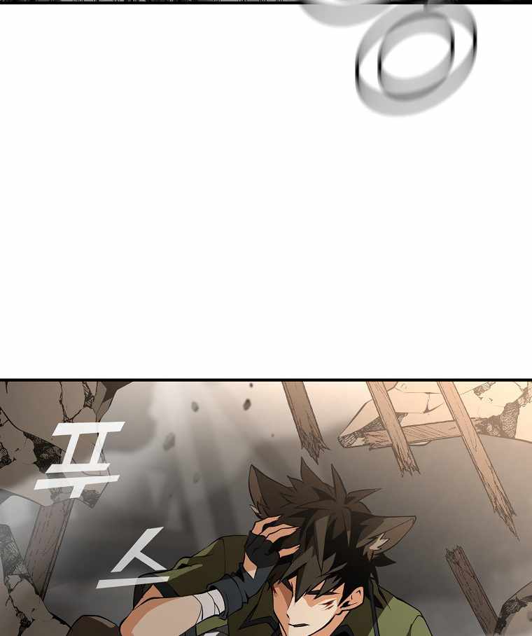 110