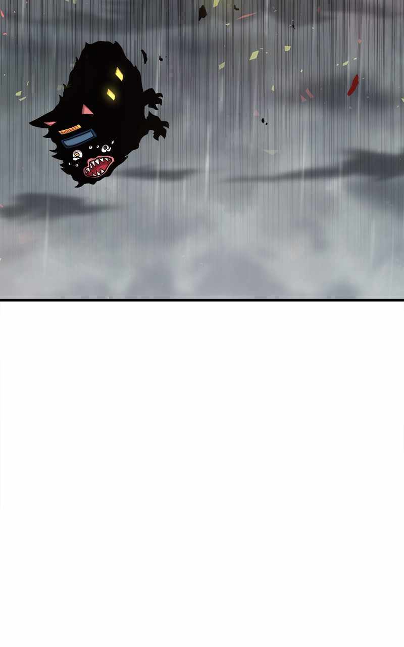 74