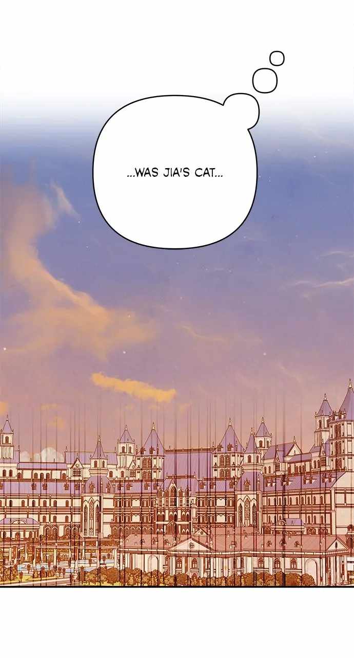45