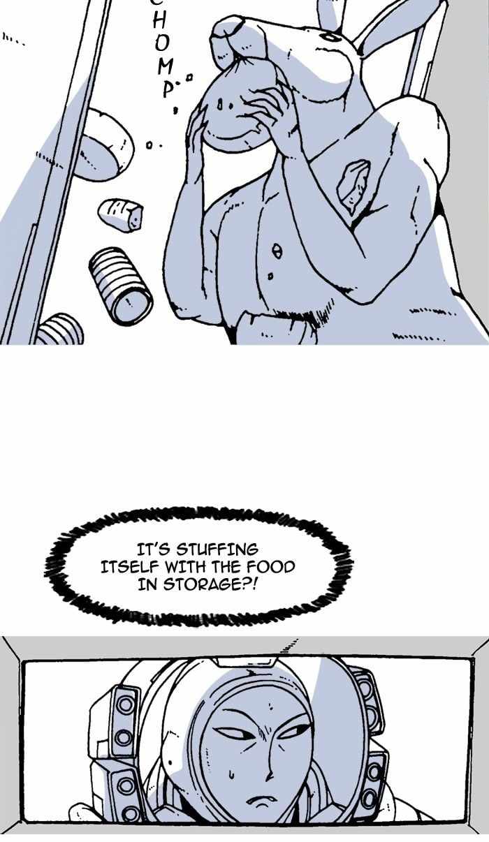 41
