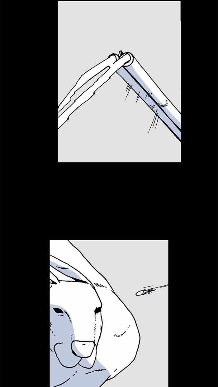 46