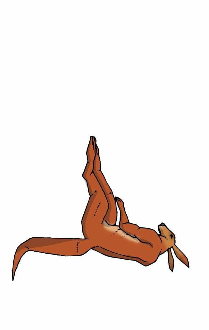 51