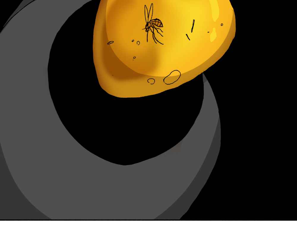 74