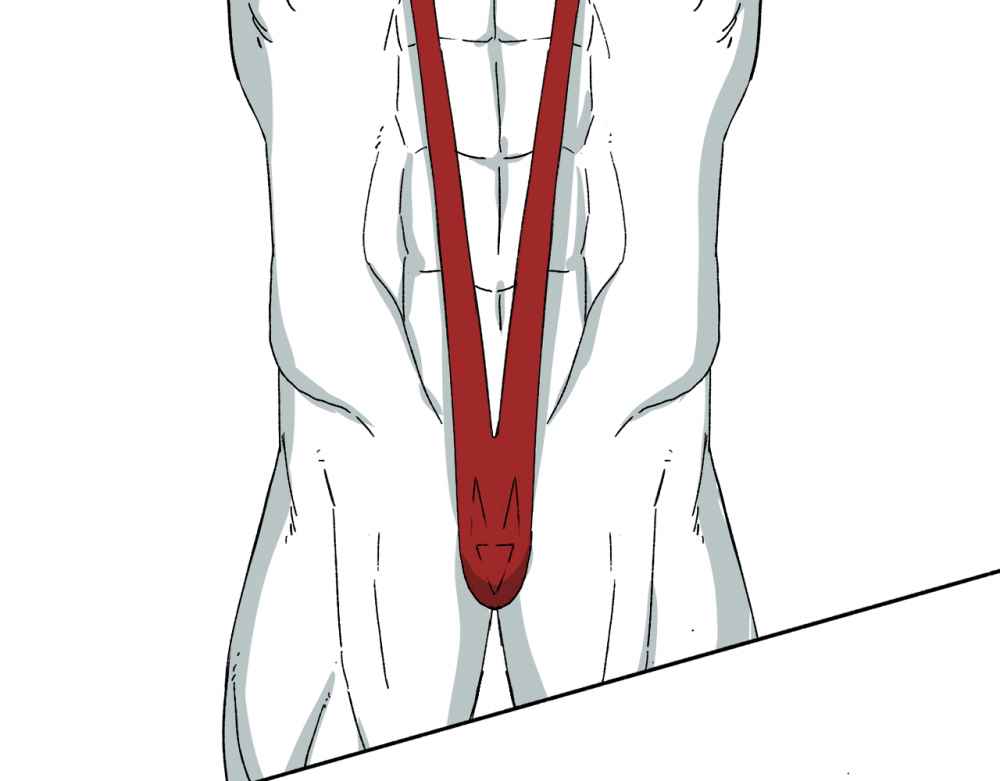 41
