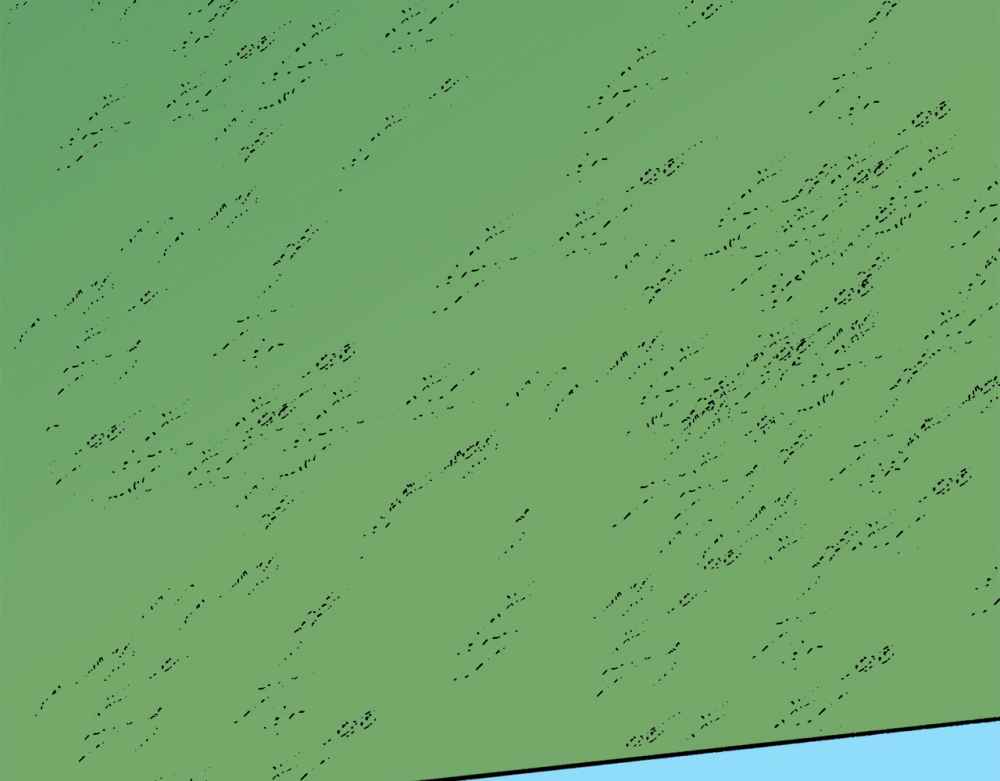 74
