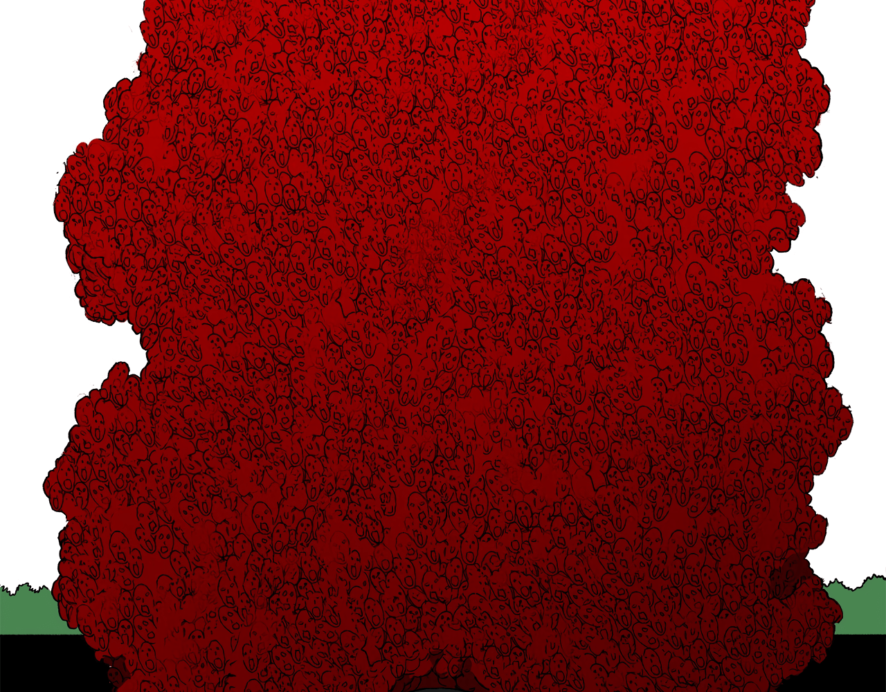 64