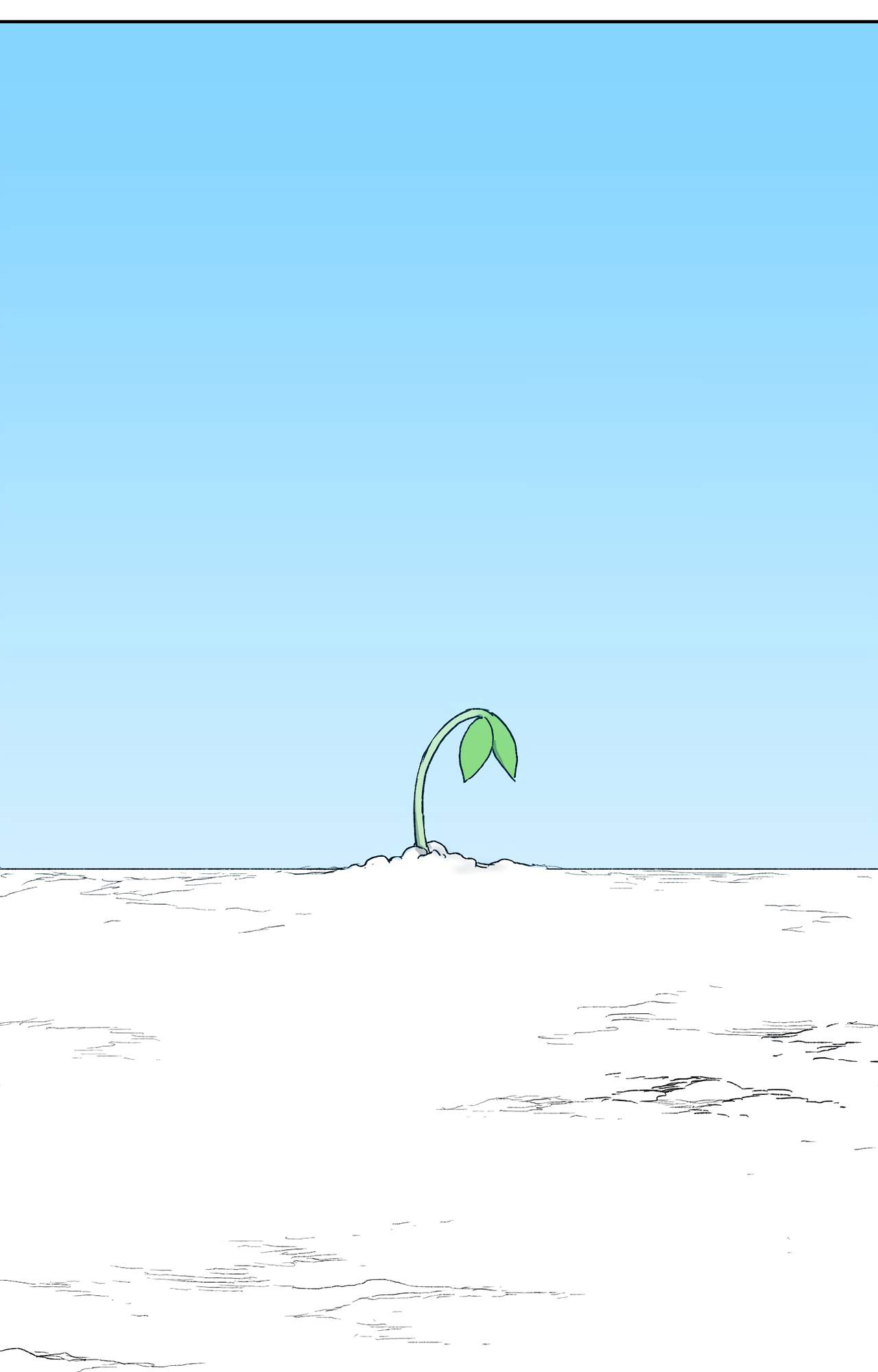 66